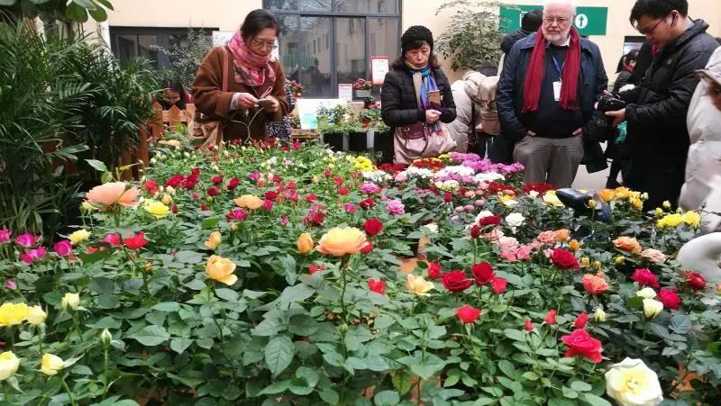 做家庭园艺能赚钱吗,园艺市场未来发展趋势