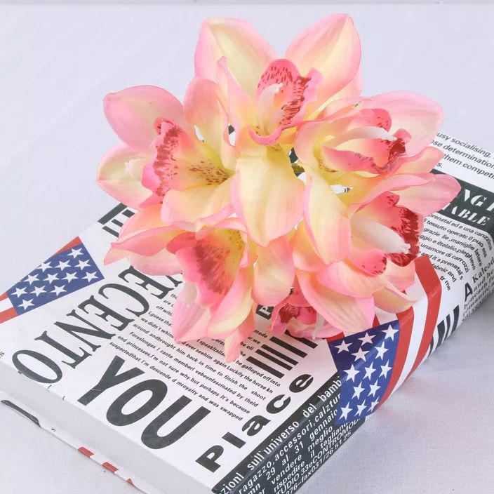 50种鲜切花花语,每个花艺师都要知道