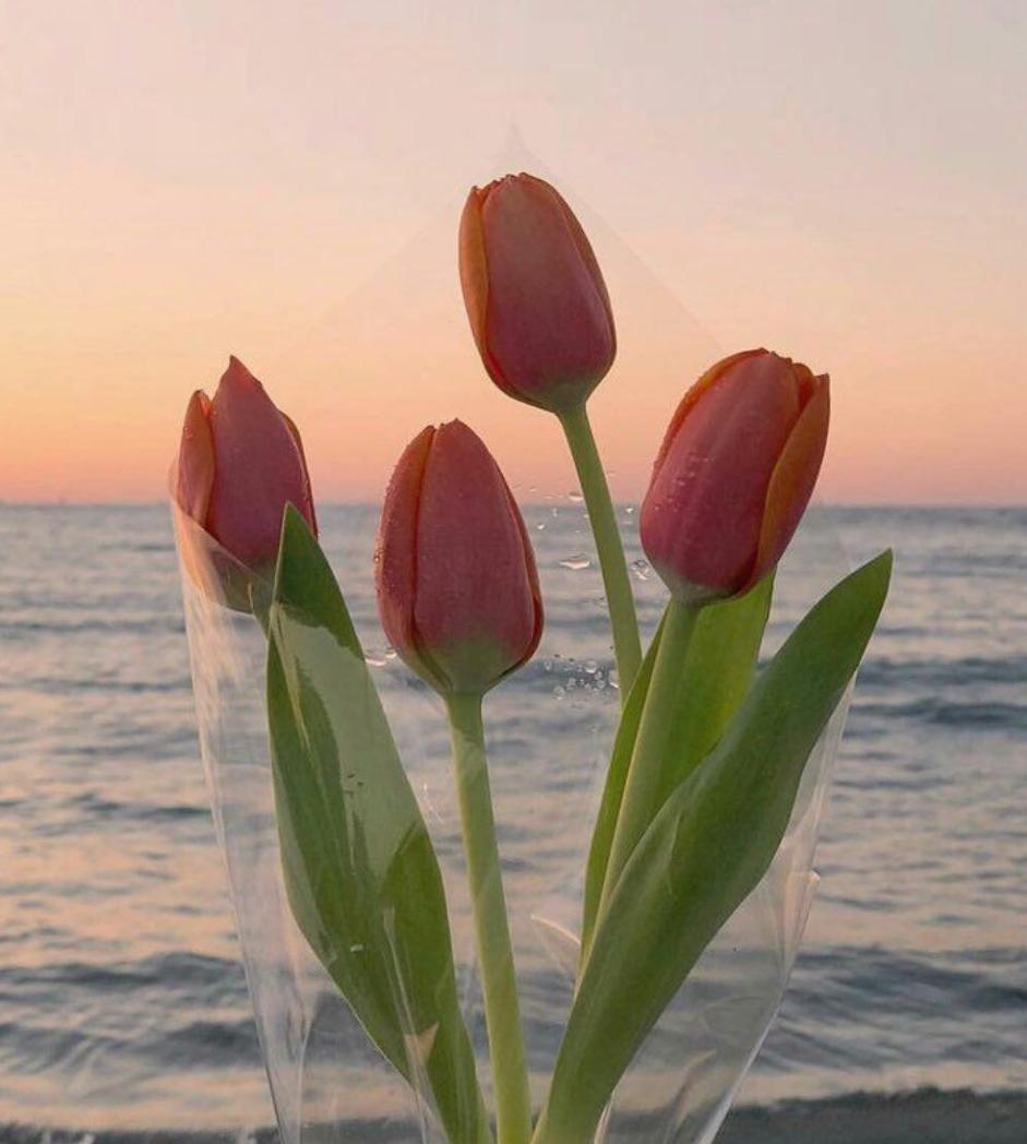 什么样的条件下结婚最为合适,什么样的人适合结婚对象