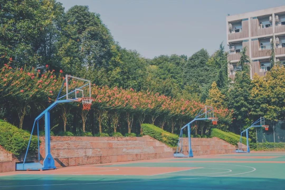 四川国际标榜学院的王牌专业,四川国际标榜职业学院网红