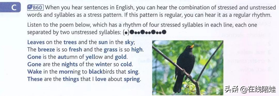 剑桥英语音标发音视频教程,英语发音规则表剑桥英语