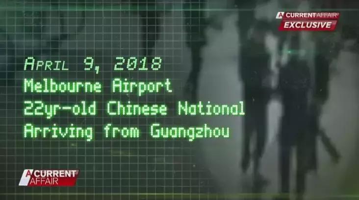 男子携带文物出境海关被拦下,男子入境澳洲被海关拦下