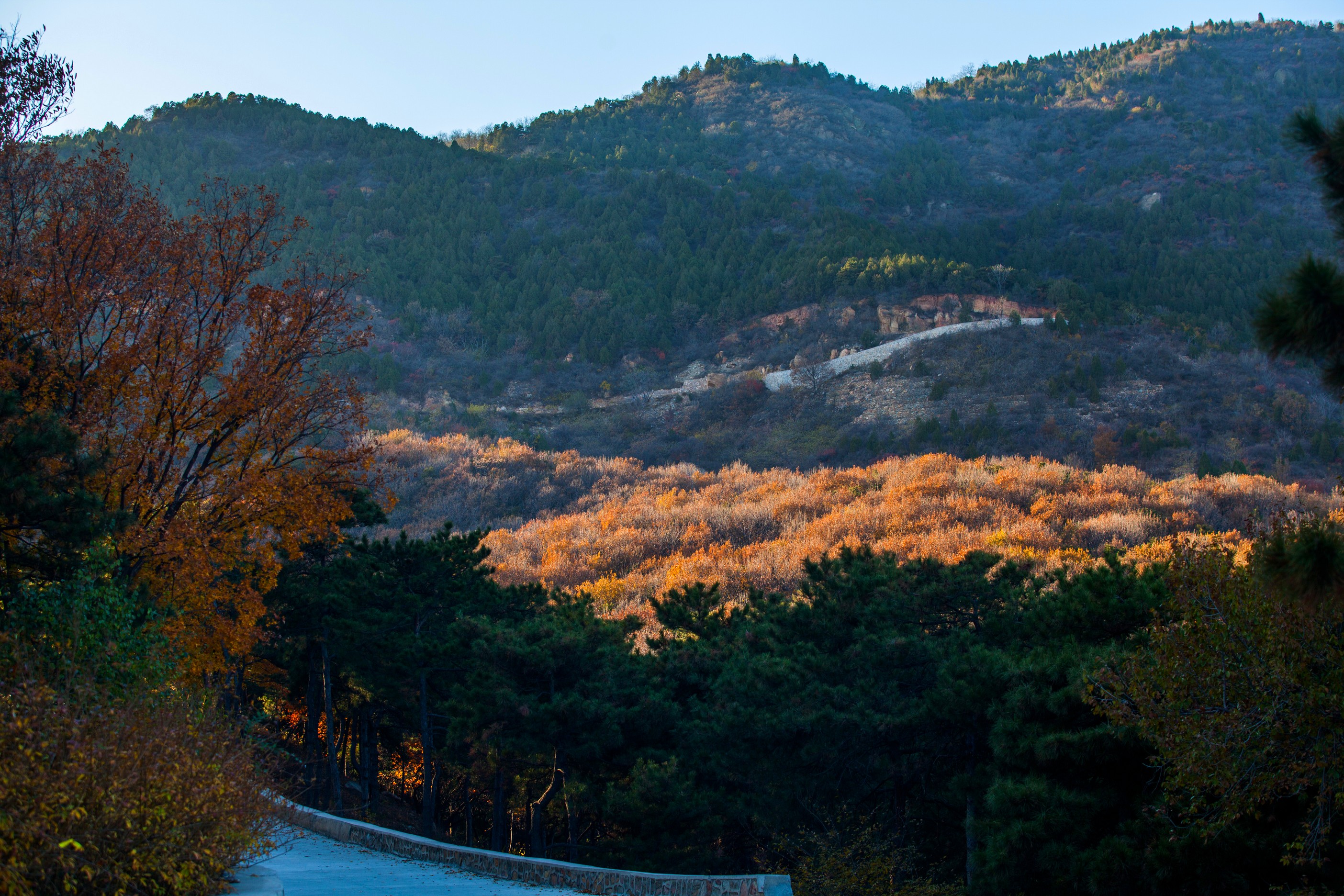北京西山国家森林公园满满的禅意,深秋的北京西山国家森林公园