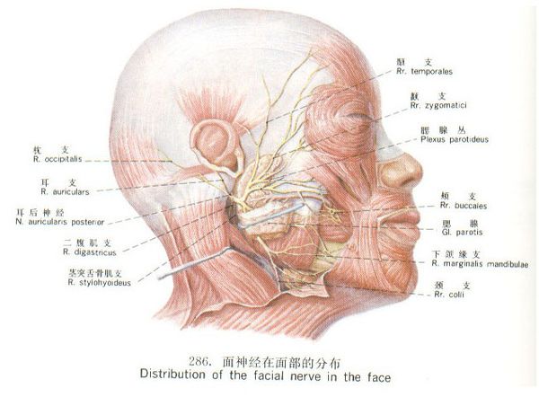 面神经炎治疗首选什么药,面神经炎的康复训练视频