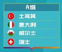 鏖战欧洲杯视频,鏖战欧洲杯直播