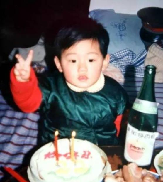 张继科双满贯之路就差一步,张继科大满贯之路最后一场比赛