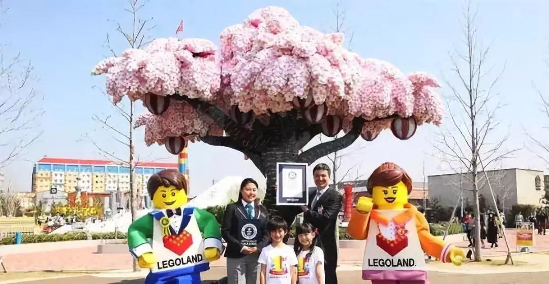 dk系列书籍六岁孩子适合入手哪些,dk儿童认知书推荐