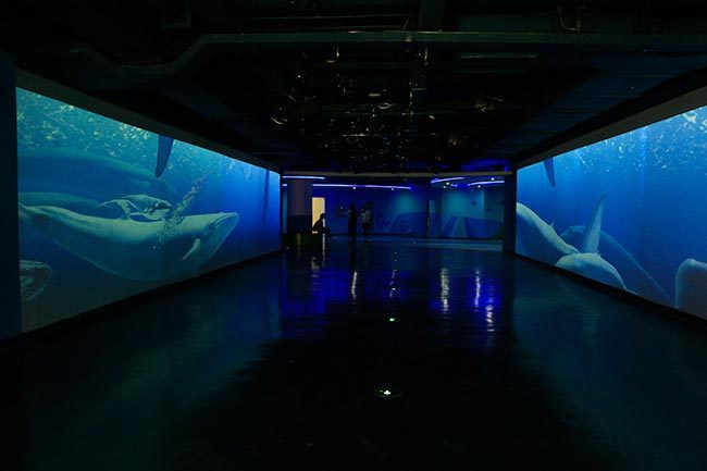 沈阳七星海世界乐园门票多少钱,沈阳七星海世界主题乐园开放时间