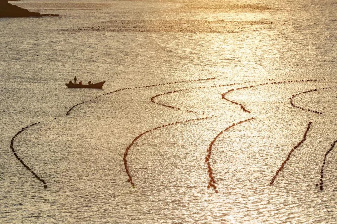 三亚和厦门哪个更值得去玩,三亚和厦门哪个更值得去游玩