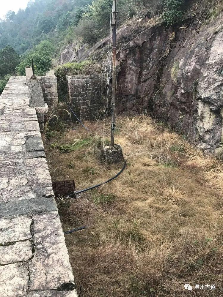 安静的尖叫,寂静的尖叫