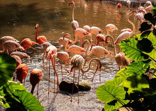 广东最值得去的十个地方,广东梅州桥溪古韵值得一去吗