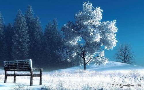 无依无靠才会使人内心强大吧,人在逆境所能依靠只有自己