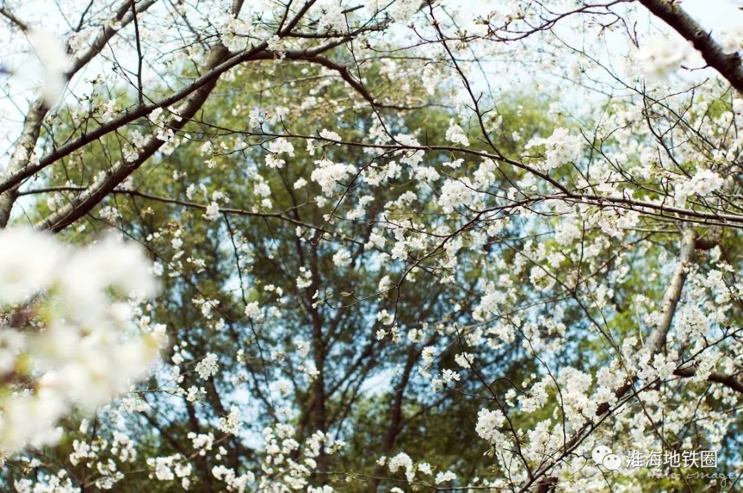 南区人有福了!徐州两大山体公园开放!瀑布、壁画、花……