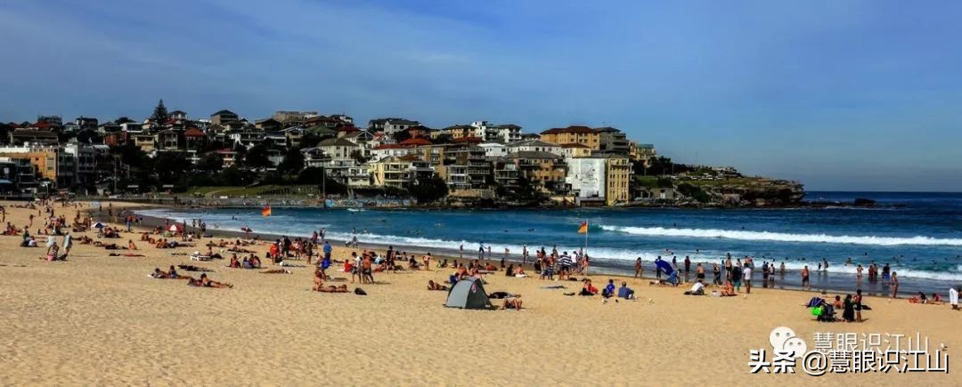 悉尼邦迪海滩,悉尼邦迪海滩新闻
