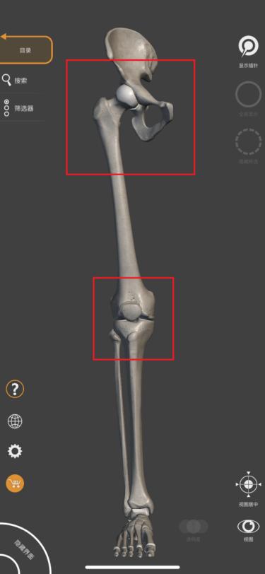 干细胞名人案例,造血干细胞移植成功的名人