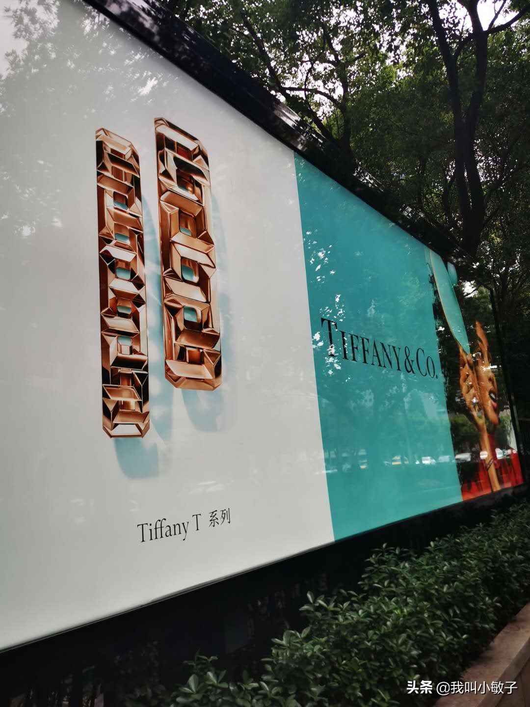 tiffany宝格丽和卡地亚项链哪个好,宝格丽蒂芙尼首饰