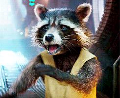 南阳市动物王国门票,南阳市动物主题公园