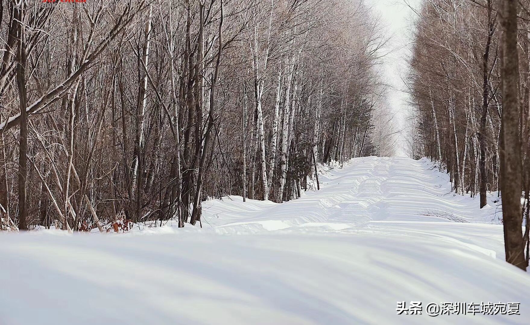 奥迪quattro冰雪试驾,奥迪quattro四驱雪地真实表现