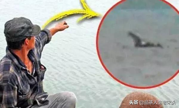 最新世界十大“怪”，最后一个太绝了！