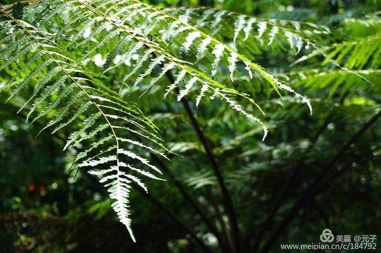 难忘贵州歌曲筒谱,难忘贵州歌曲