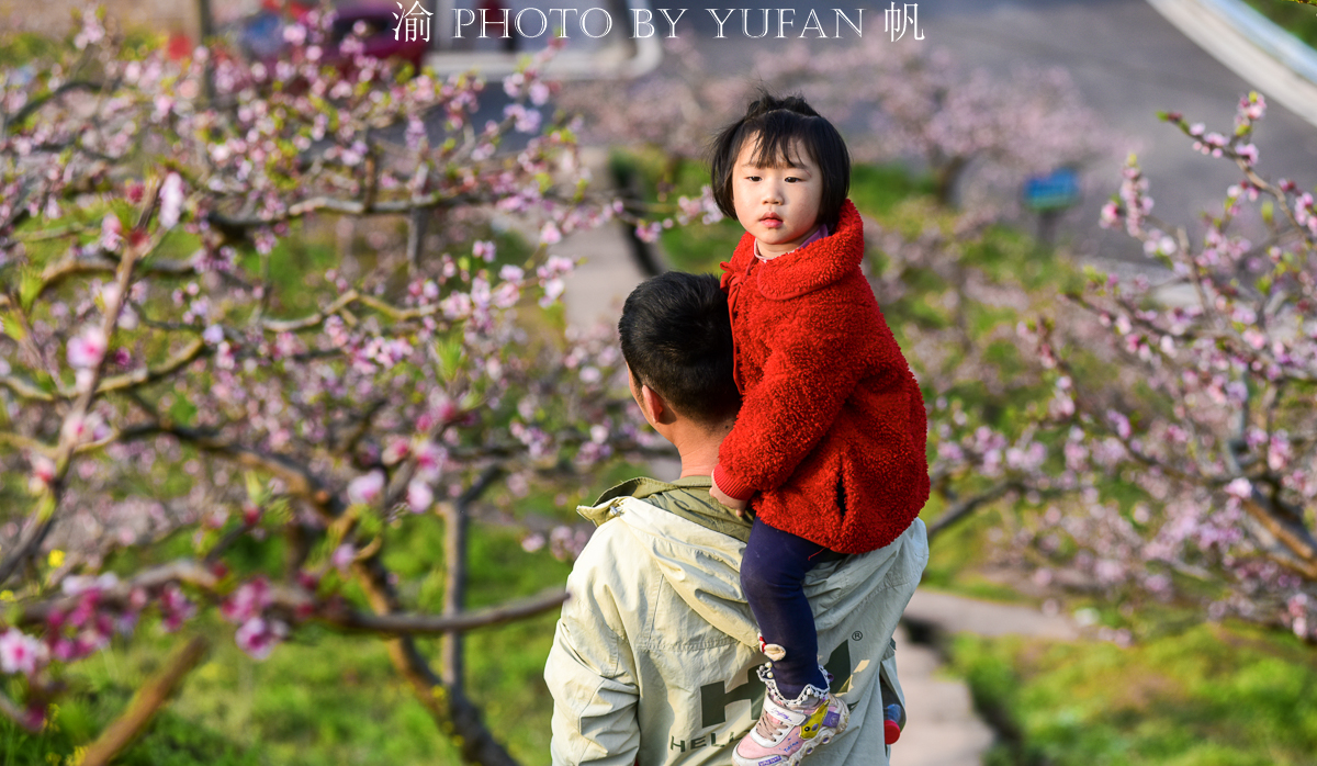 潼南桃花山景区,潼南春游踏青最佳地