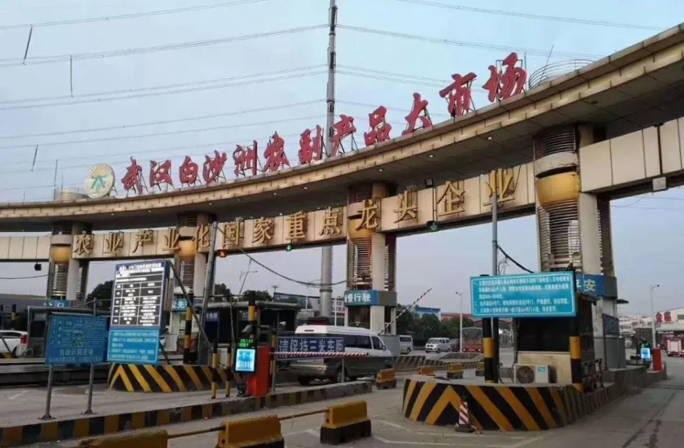 白沙洲大市场2025年之前能搬迁吗,白沙洲市场会凉凉吗