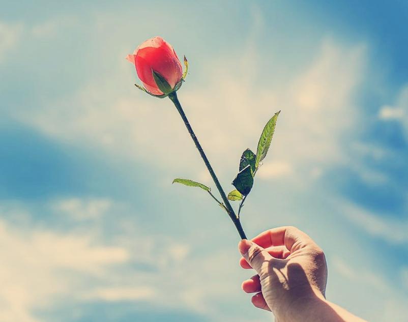 喜欢我的女人突然变得严肃冷淡,如果喜欢的人对自己冷淡怎么办