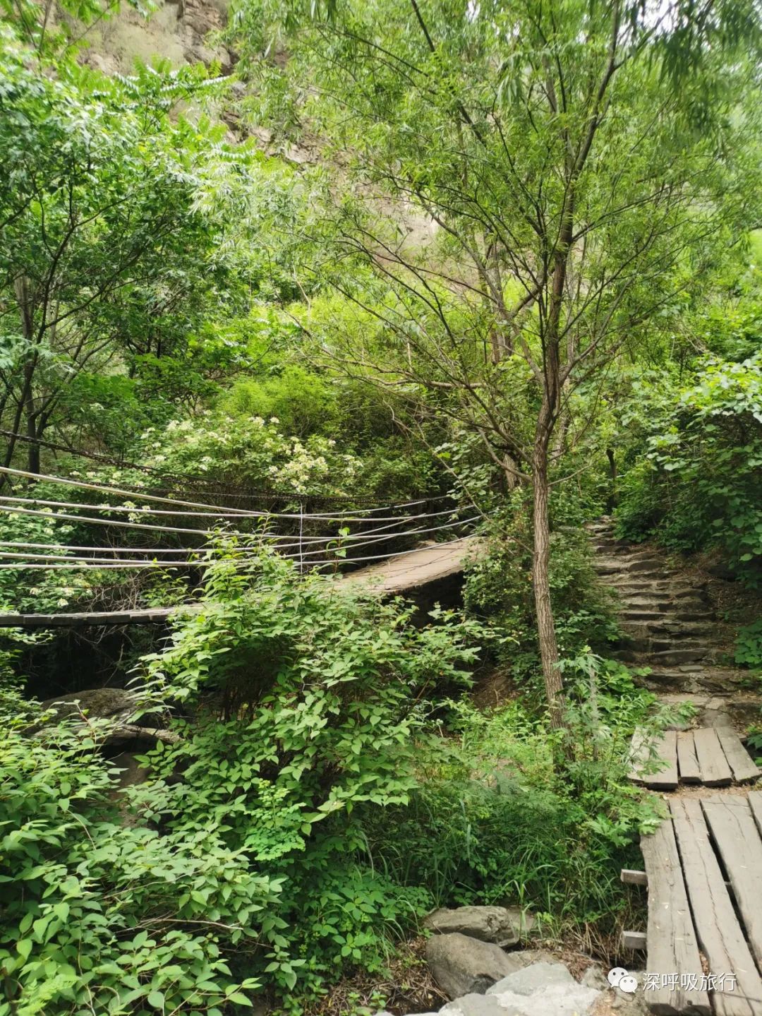 靖西双龙峡网红小火车,京西小九寨二日游