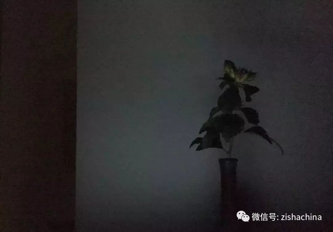 闲有滋味,闲有滋味忙有价值才是最好的状态