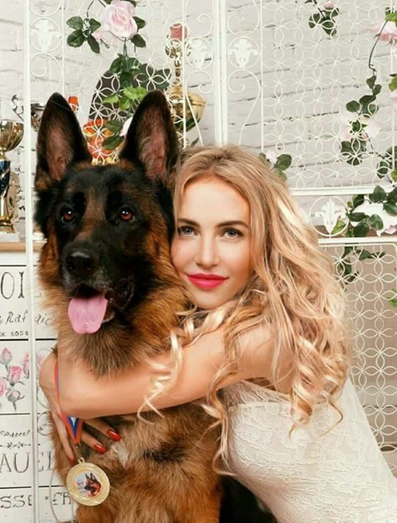 最好的十种猛犬都是哪几种,十大猛犬哪些犬对主人最真诚