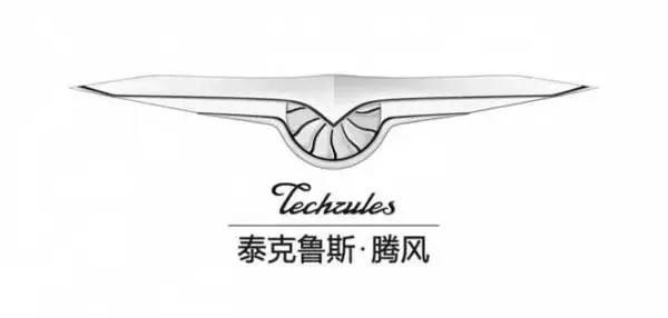 中国电动汽车发展现状及前景分析,电动汽车最主要的两个技术