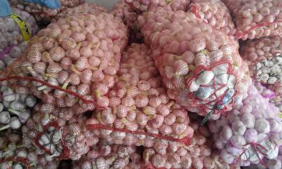 河南大蒜最新价格今天下午杞县中牟蒜价最新行情