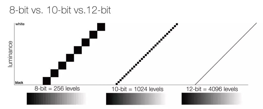 乱花渐欲迷人眼中的乱字赏析,乱花渐欲迷人眼怎么看