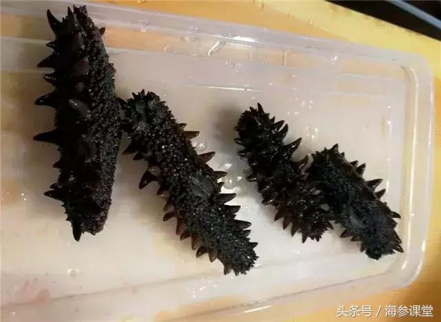 海参泡发后高压锅煮多长时间最好,海参泡发以后很稀烂是不是坏掉了