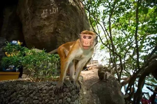 不用签证又不贵的旅游国家,无需签证小众旅游国家