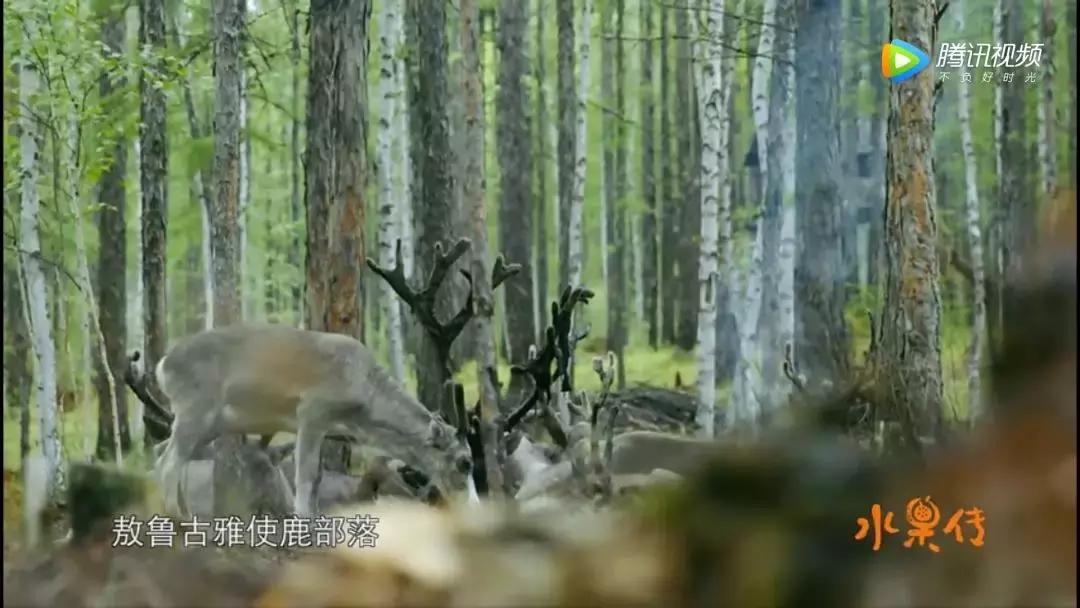 一部看完就想去买水果的纪录片，一次过见识50个城市的奇珍异果！