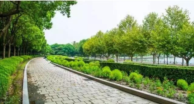 大局已定事情会有转机吧,大局已定掀不起太多波澜