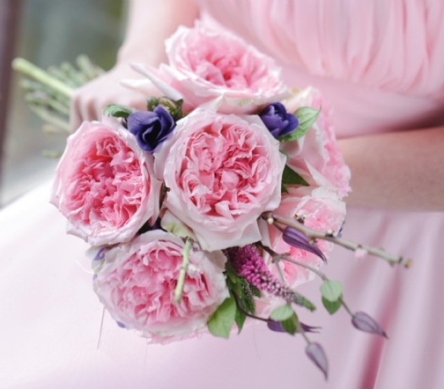 自己种的玫瑰花怎么没有花店的好,如何养花店买的玫瑰花