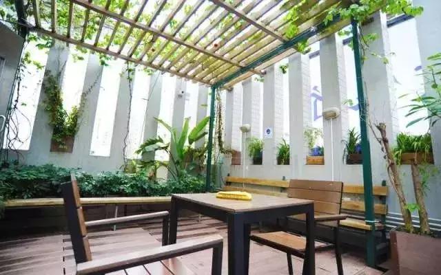 香港旅游攻略自由行酒店,香港旅游省钱攻略美食