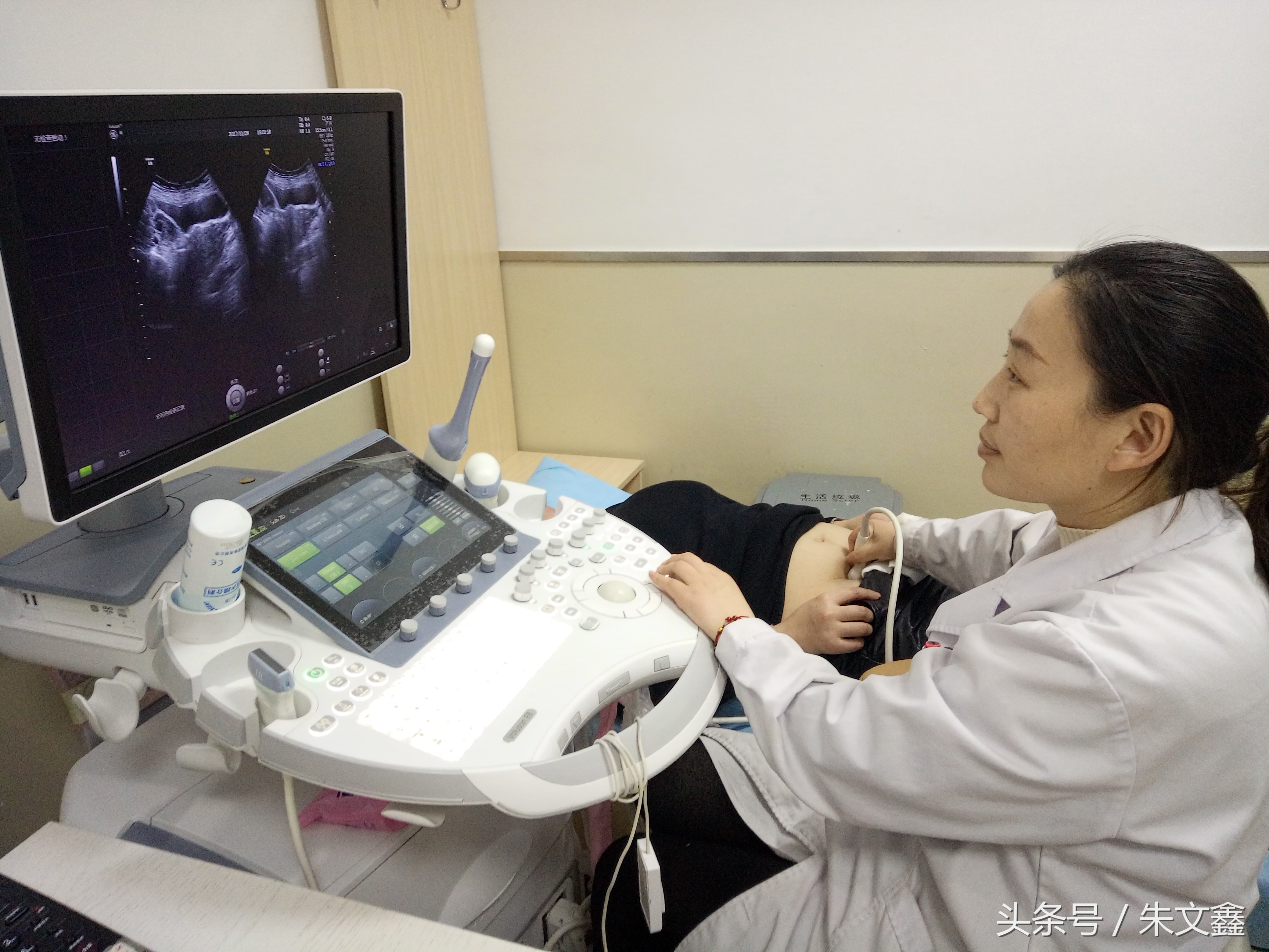 群雁高飞头雁领什么意思,群雁高飞