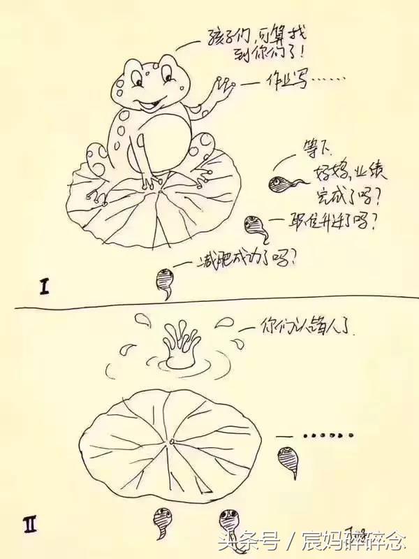 教孩子写作业亲妈秒变后妈,教写作业亲妈变后妈