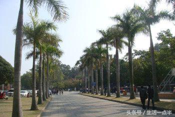 厦门鼓浪屿旅游自助游攻略,去厦门鼓浪屿的自助旅游详细攻略