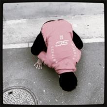 想学倒立走初学,想学倒立哪种倒立更容易学