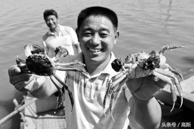 蚌埠日报的版面,蚌埠日报