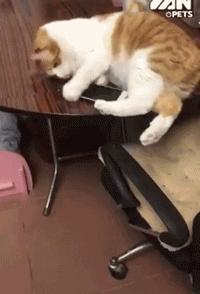 治好了我多年萝莉控技巧高超的内涵动态图