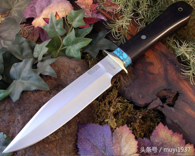 闯荡江湖需要什么条件,闯荡江湖的正确方法