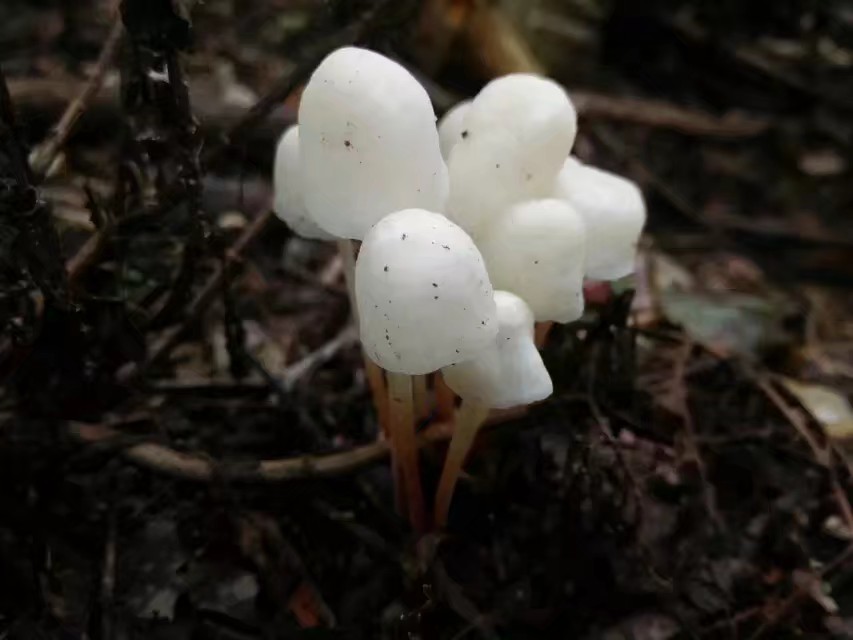 骑行云南山路是不是特别多,骑行滇藏困难处