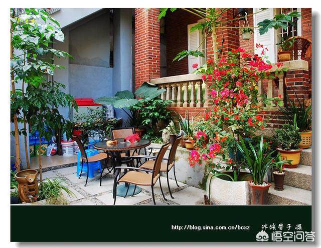 厦门可以看海的鼓浪屿附近的民宿,在厦门鼓浪屿有一百元的民宿吗