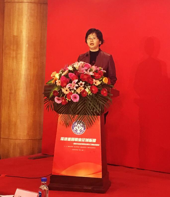 福建足球职业联赛,福建职中足球联赛