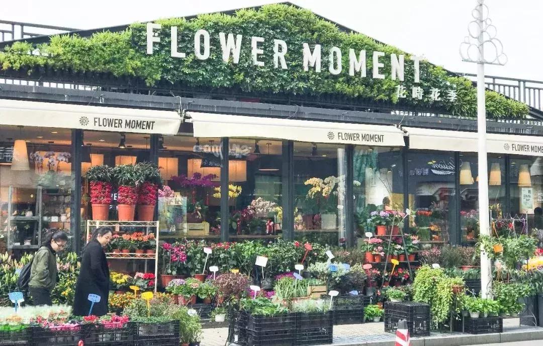 厦门奇怪的花店,厦门比较有名的绿植花店